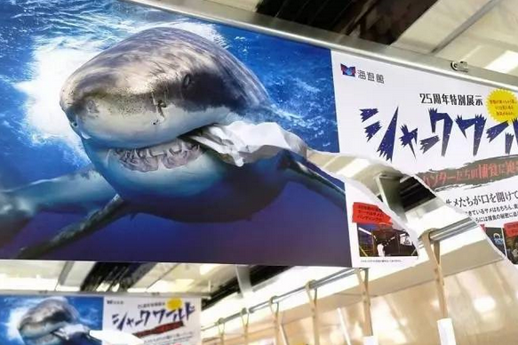 這是一張海報的正反面。人們很容易被這個破損的不尋常海報吸引注意力。