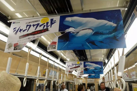 這是一張海報的正反面。人們很容易被這個破損的不尋常海報吸引注意力。