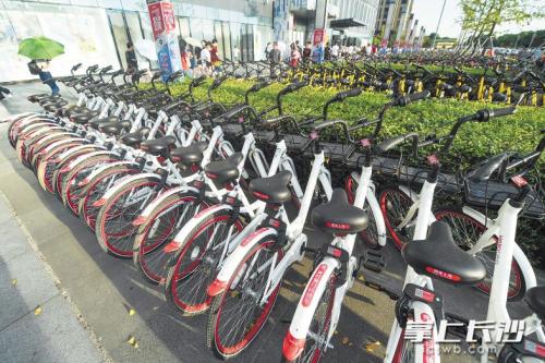 昨日下午，在開(kāi)福區(qū)萬(wàn)達(dá)廣場(chǎng)，成片的共享單車(chē)停放在廣場(chǎng)前坪。 長(zhǎng)沙晚報(bào)記者 黃啟晴 攝
