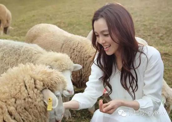 明星旅行糗事一籮筐 總有一個萌到你！