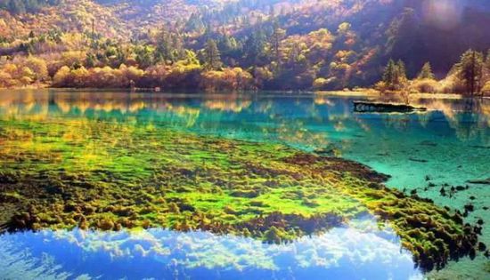 門票那么貴 沒法玩耍了！