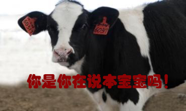 關我什么事！