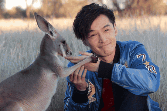 小袋鼠還有親到胡歌喲！