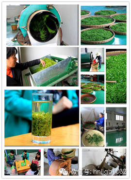 制茶的工藝真地道，仿佛聞到了茶香