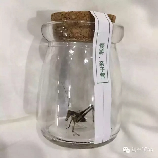 看看我的成果吧！