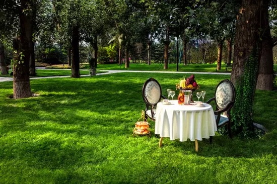 秋陽鴻園，芳草青青