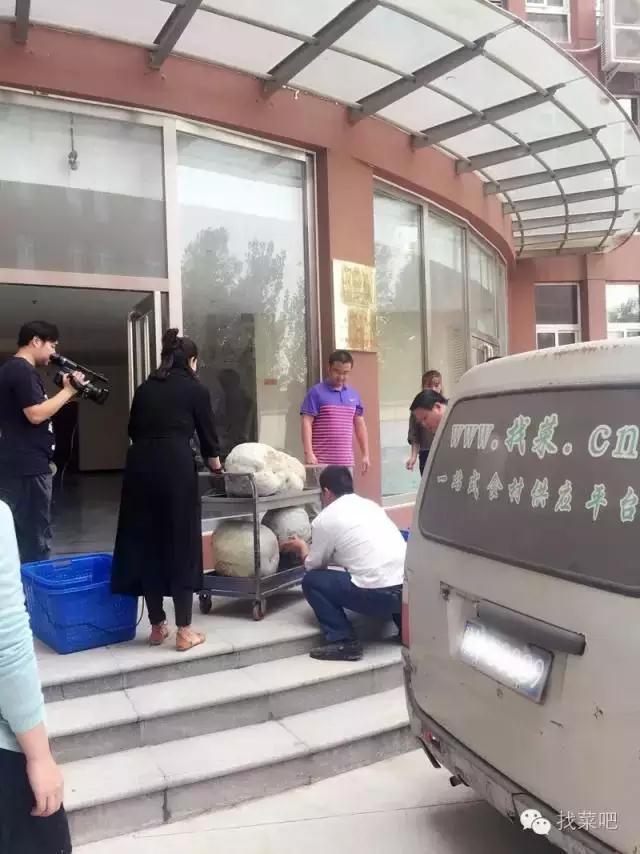 找菜網(wǎng)認(rèn)購(gòu)百萬斤冬瓜，解農(nóng)戶燃眉之急