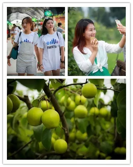 美女與香梨，你更愛哪一個(gè)？！