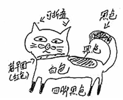 愛(ài)貓失蹤沒(méi)“留影”主人手繪尋貓圖網(wǎng)友贊太有才