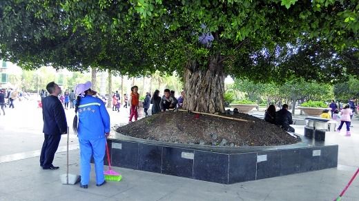 物管人員打算拆除小帳篷（白圈），小孩在一旁依依不舍