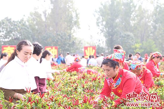 辣妹子摘辣椒比賽