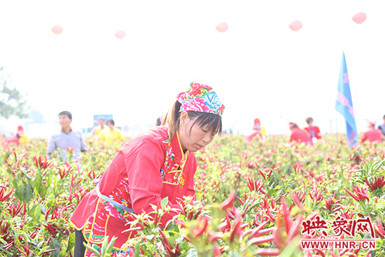 認(rèn)真比賽的辣妹子