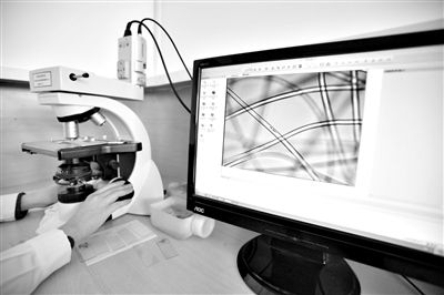 顯微鏡下，聚酯纖維很光亮，表面有斑點，粗細非常均勻。