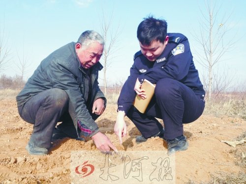 牡丹苗被盜之后，郭萬通又補種的牡丹苗已經(jīng)發(fā)芽