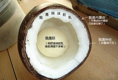 你在甜品店常吃的東西，到底都是啥？