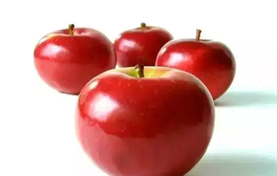 小心有毒！各種蔬果不能吃的部分