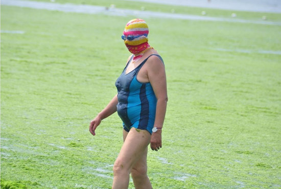 2013年7月3日，山東青島青島高溫來襲，“青島大媽”不懼滸苔，戴著“強盜面具”出現(xiàn)在海水浴場消暑降