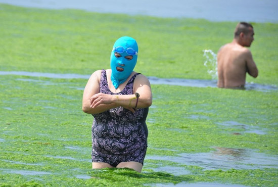 2013年7月3日，山東青島青島高溫來襲，“青島大媽”不懼滸苔，戴著“強盜面具”出現(xiàn)在海水浴場消暑降