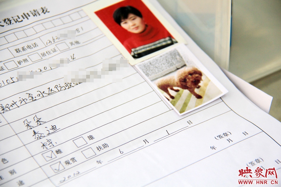 辦理狗證，需要填寫申請表