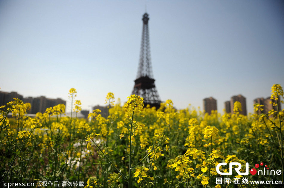 　2014年3月21日，杭州天都城，農(nóng)民在山寨埃菲爾鐵塔下耕作。圖片來(lái)源：東方IC
