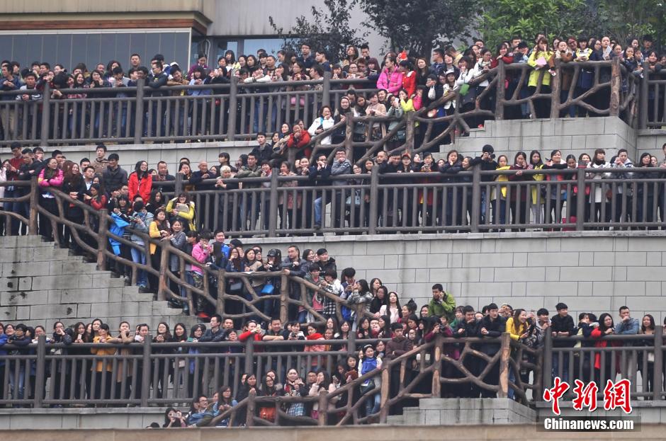 重慶上萬(wàn)粉絲在南濱路等待《奔跑吧兄弟》節(jié)目的錄制。