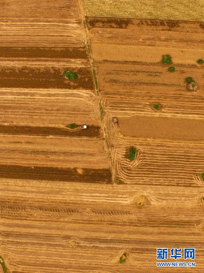 這是5月28日在河南省南陽市唐河縣甘河灣村航拍的麥收現(xiàn)場。
