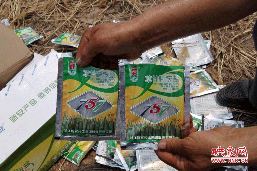 毀掉玉米的農(nóng)藥袋散落在地頭。