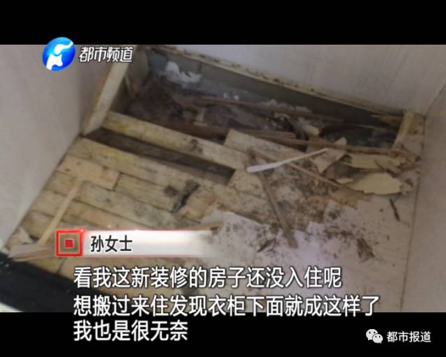 蟻族大軍入侵！十幾萬裝修的新家被“吃掉”