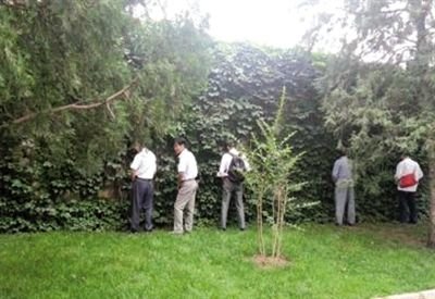 6月30日，頤和園內(nèi)綠地上，多名游客在小解。 網(wǎng)友“攝影老鬼” 攝