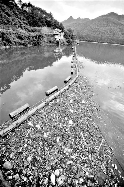 7月7日，廣西賀州市賀江合面獅段被污染的水域。據(jù)新華社