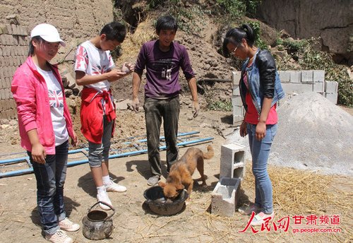 渴壞了的小黃狗在喝水。王生元/攝