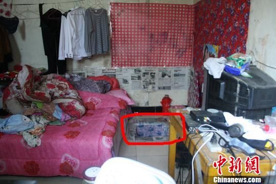 圖上紅圈內(nèi)為嫌犯所挖地窖入口。 吳佳蔚 攝