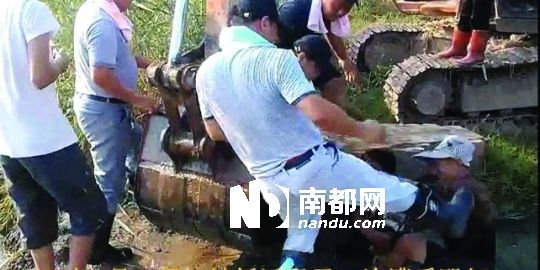 幾名戴黑帽的男子將一名老人推入水塘，后反復(fù)腳踹。