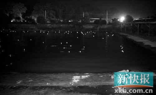 昨日，西湖村鱷魚(yú)養(yǎng)殖場(chǎng)已修復(fù)圍欄。