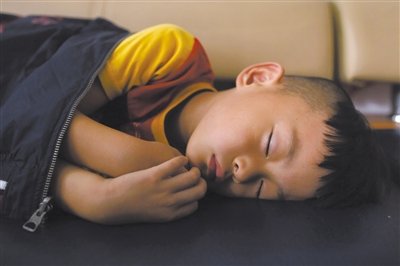 9月6日，等待錄制節(jié)目的多多躺在沙發(fā)上熟睡。新京報記者 侯少卿 攝