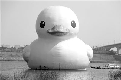 昨日，經(jīng)過連夜修正，大黃鴨的嘴部已恢復(fù)變寬，和在香港展出時(shí)看起來一樣。