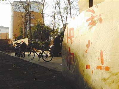 昨日，“上海奇石盆景博物館”原址上，已矗立起小區(qū)樓盤，而刻著博物館名的巨石，廢棄在一旁。本版圖片/新京報(bào)記者 張永生 攝