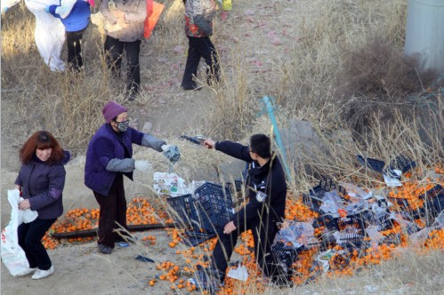 蘭州貨車(chē)側(cè)翻橘子遭百余村民哄搶，警察拔槍制止