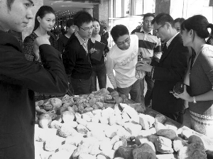 前段時間，夫子廟古玩城舉行的一場賭石活動，吸引了不少人參與