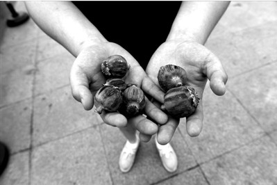 “大煙殼”輕易就可以買到。下圖：女?dāng)傊髂贸霾卦诩t色兜子里的“大煙殼”，向記者兜售。京華時報實習(xí)記者趙思衡攝