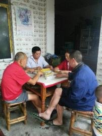 掃水掃不及，胥家鎮(zhèn)柏河村的居民干脆打起了麻將。