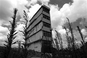 這幢5層的“片片樓”周圍已是一片拆遷后的廢墟，左邊的一堵墻上，不少鋼筋裸露在外面 圖片來源：新華網(wǎng)