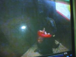 男子將侯某撲倒，侯某反抗。