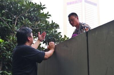 黃主任站在獨(dú)木樁上與男子交談了近半小時。