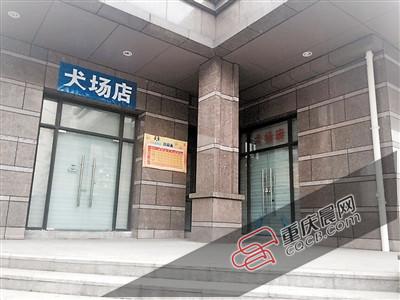 寵物店關(guān)門(mén) 我家生病的狗狗去哪兒了