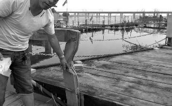 鼻孔里凝著血痂、全身多處擦傷的周先生仍有些驚魂未定。