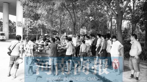 北環(huán)南陽路立交橋下，瓜農(nóng)小秦被打后，附近瓜農(nóng)紛紛圍了上來