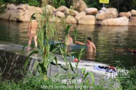 網(wǎng)友曝光的現(xiàn)場(chǎng)圖片。（圖片來(lái)自網(wǎng)絡(luò)）