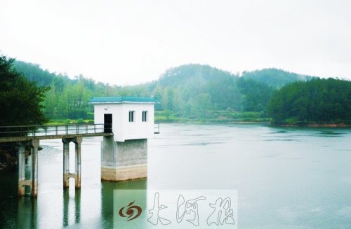 河南新縣一村疑現(xiàn)狼群獵食狗 專(zhuān)家稱或是金錢(qián)豹