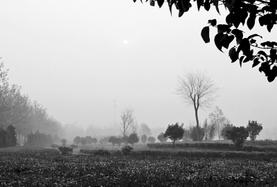 3月26日上午8點,鄭大新校區(qū),濃濃的霧霾埋沒了大好春景。